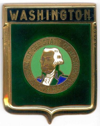 Badge auto car - , drago